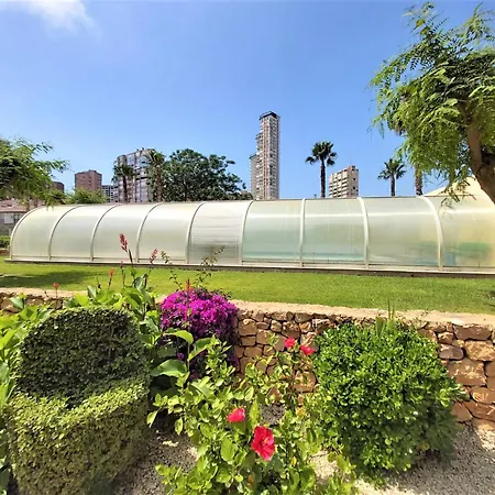 Gemelos 22-3-4 Appartement Benidorm